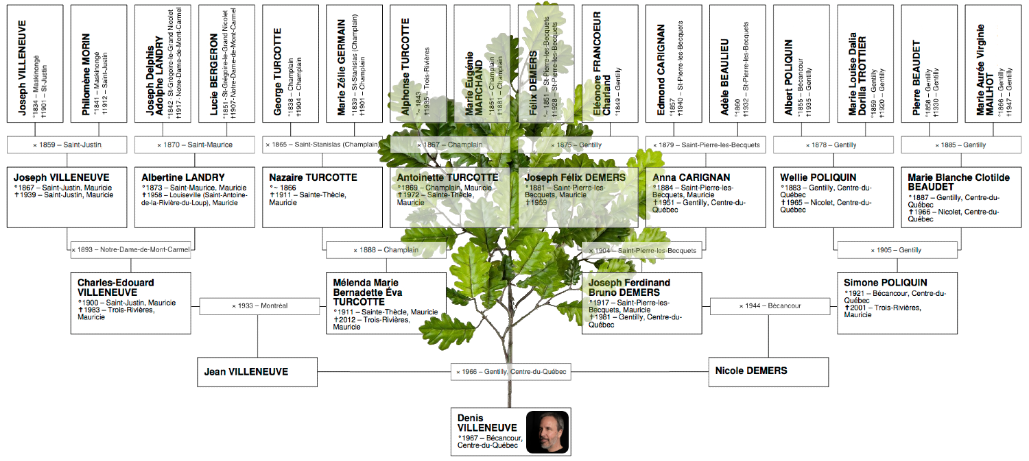 Arbre généalogique de Denis Villeneuve
